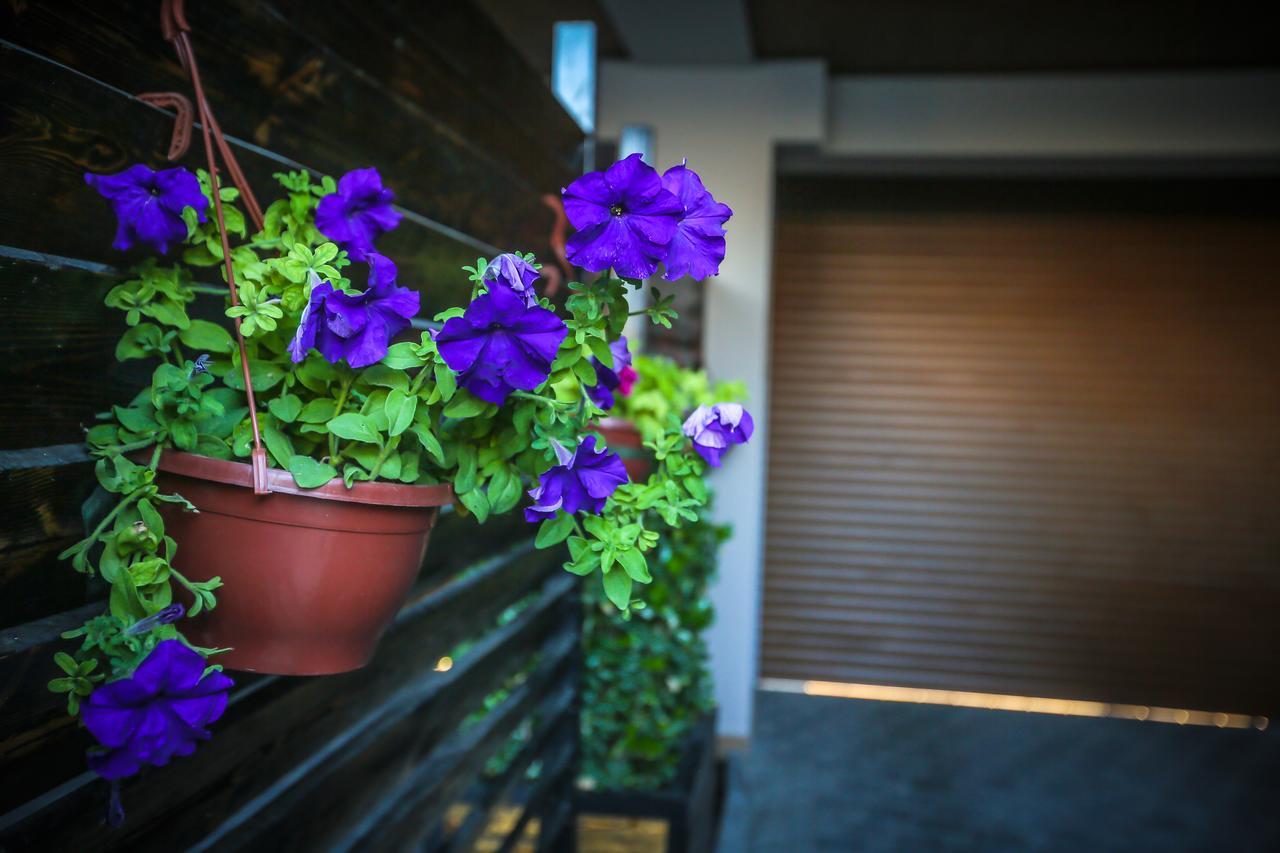 Armada Villa Hotel Баку Экстерьер фото